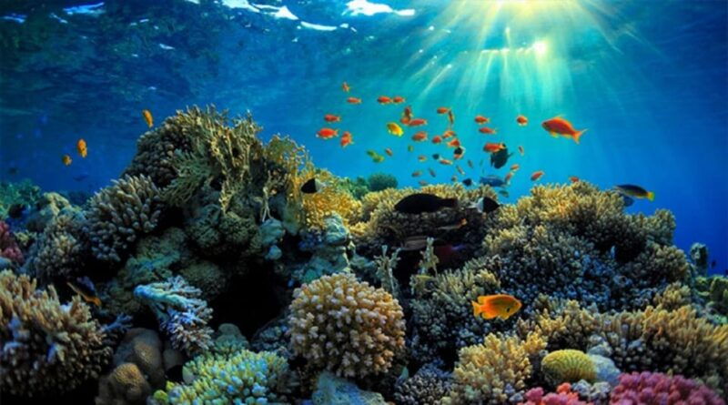 from-bali-explore-west-nusa-penida-with-snorkeling