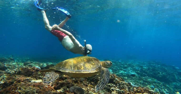 from-bali-explore-west-nusa-penida-with-snorkeling