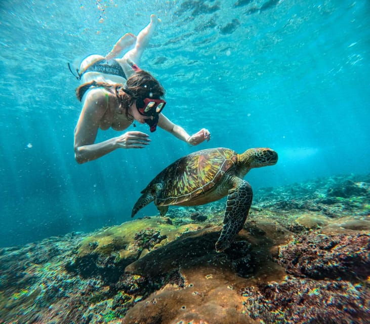 from-bali-explore-west-nusa-penida-with-snorkeling