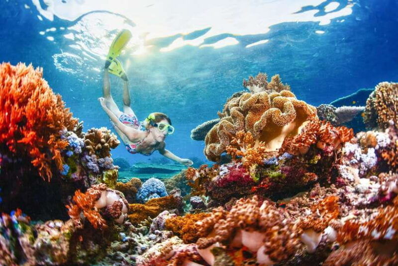 from-bali-half-day-snorkeling-3-spots-to-lembongan-penida