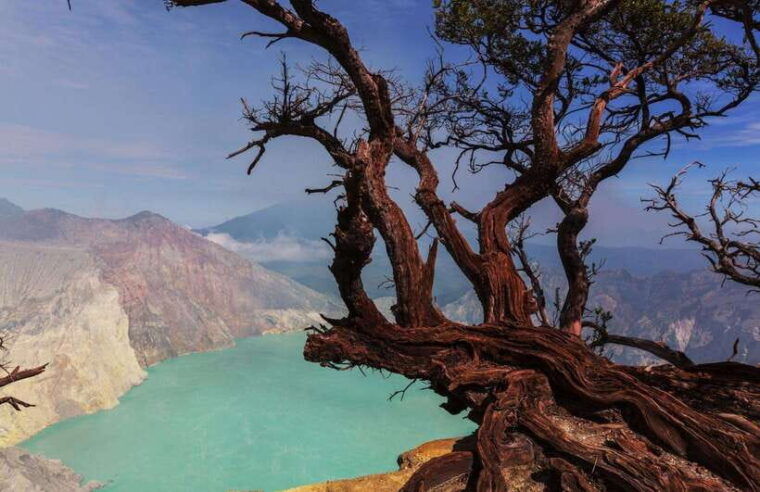 from-bali-ijen-sunrise-tour-with-local-guide-blue-fire