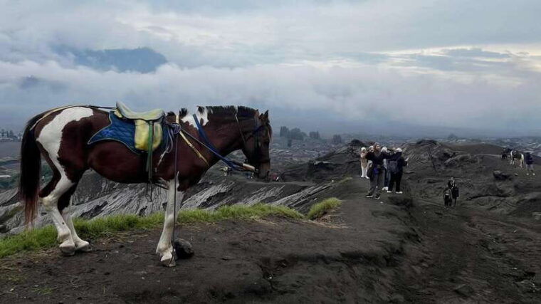 from-bali-inclusive-3-day-bromo-ijen-volcano-trip