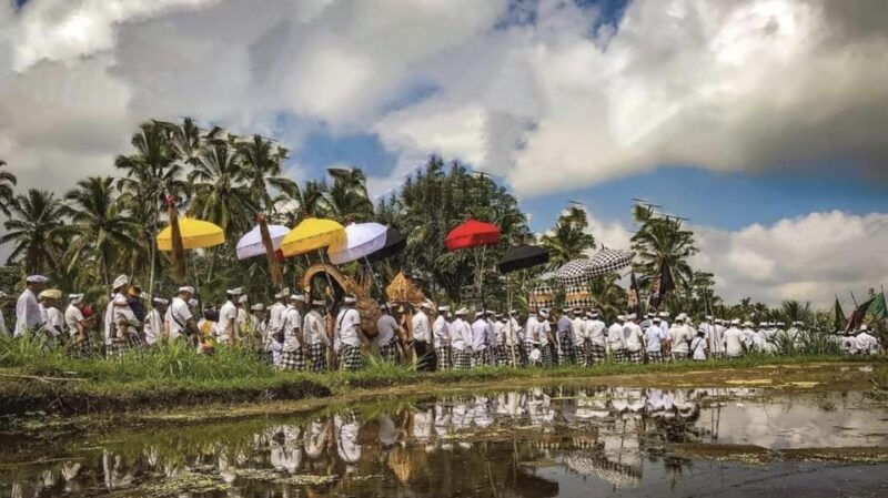 from-bali-night-fireflies-tour-balinese-cultures-insights