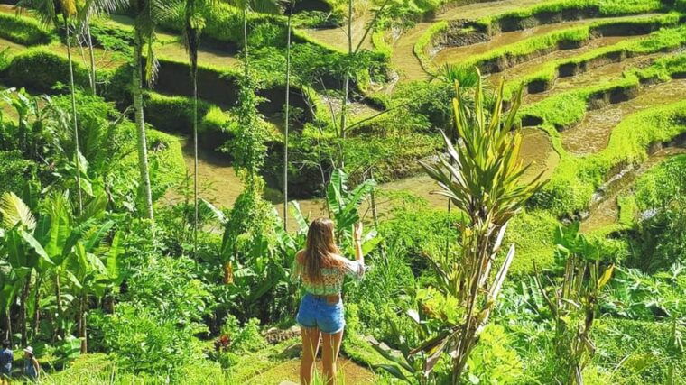 from-bali-night-fireflies-tour-balinese-cultures-insights