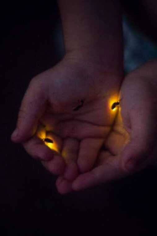 from-bali-night-fireflies-tour-balinese-cultures-insights