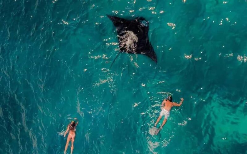 From Bali: Nusa Penida 3 Spots Snorkeling Tour & West Island - The Practical Details