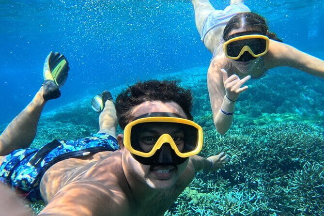 From Bali: Nusa Penida Full Day Tour and Snorkeling - Real Experiences and Practical Insights from Reviewers