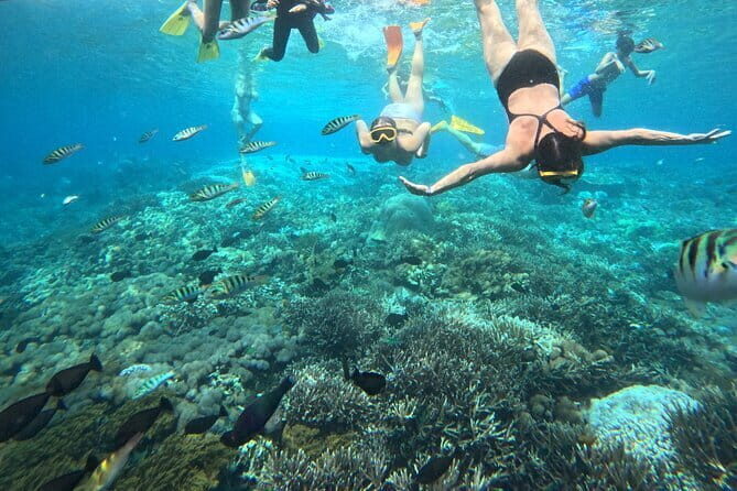From Bali: Nusa Penida Full Day Tour and Snorkeling - FAQs