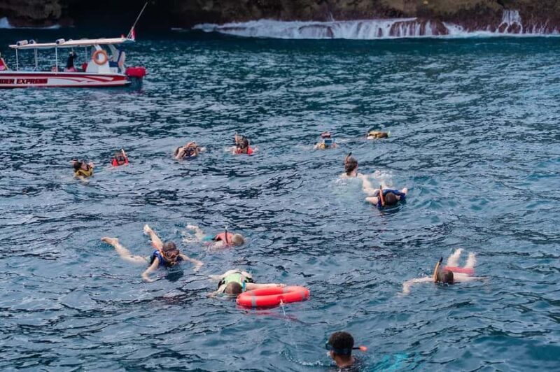 From Bali: Nusa Penida Manta Snorkel by Luxury Private Yacht - Who Should Consider This Tour?