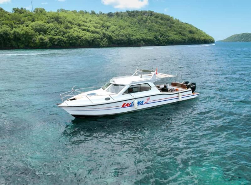 From Bali: Nusa Penida Manta Snorkeling Cruise & Island Tour - Who is This Tour Perfect For?