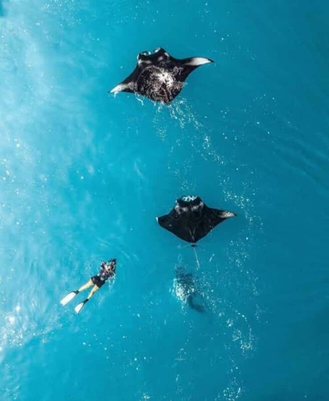 From Bali: Nusa Penida Private Snorkeling and Land Tour - The Basics: What to Expect