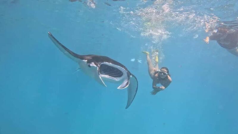 From Bali: Nusa Penida Private Snorkeling and Land Tour - Potential Drawbacks and Considerations