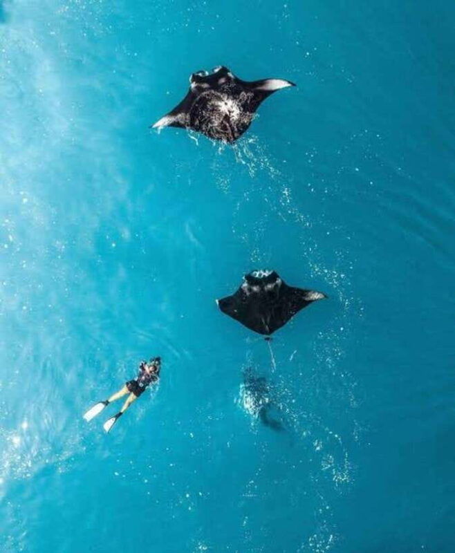 from-bali-nusa-penida-private-snorkeling-and-land-tour