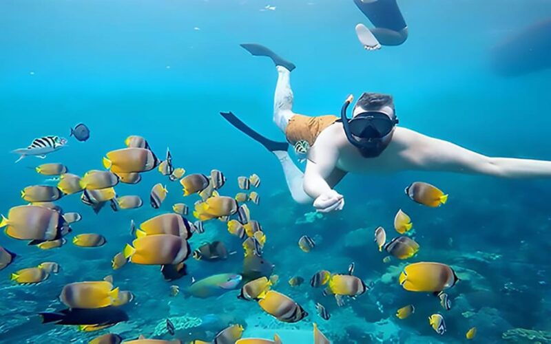 from-bali-nusa-penida-snorkeling-and-island-tour