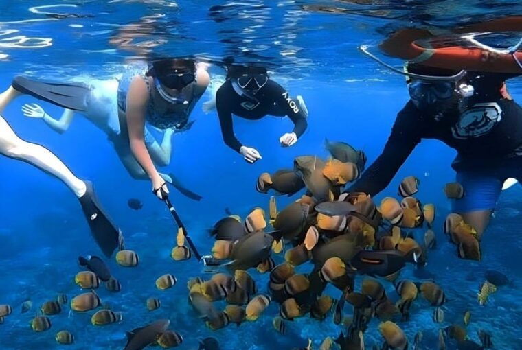 from-bali-nusa-penida-snorkeling-and-island-tour