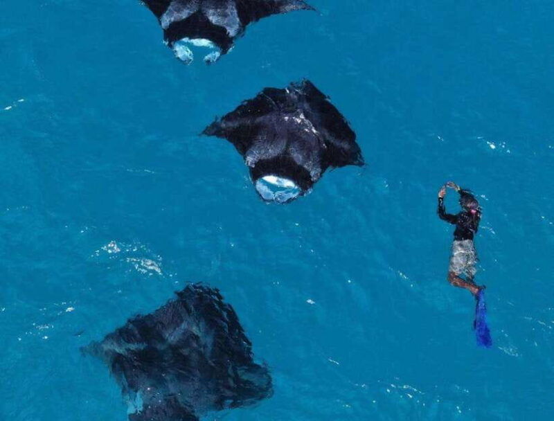 from-bali-nusa-penida-snorkeling-and-west-coast-tour