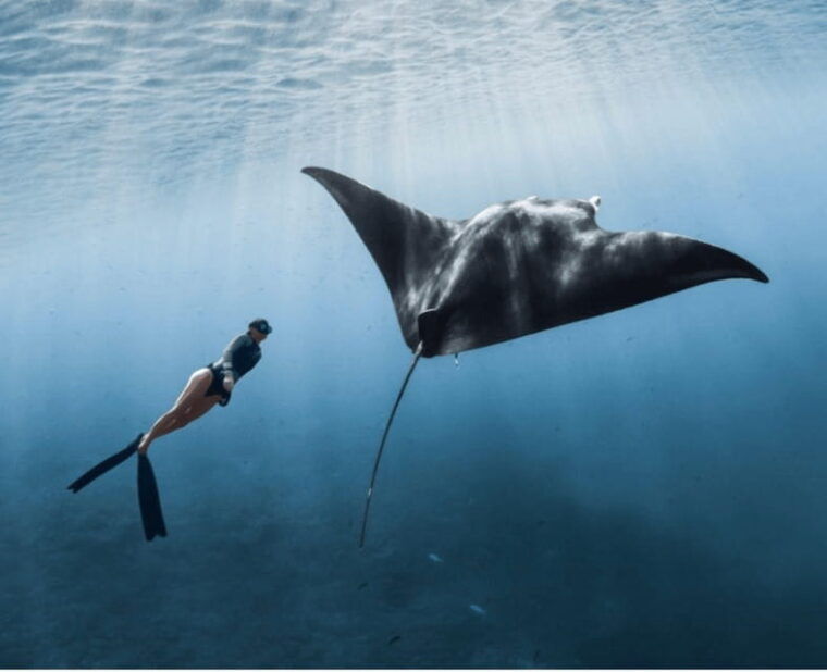 from-bali-nusa-penida-snorkeling-and-west-coast-tour