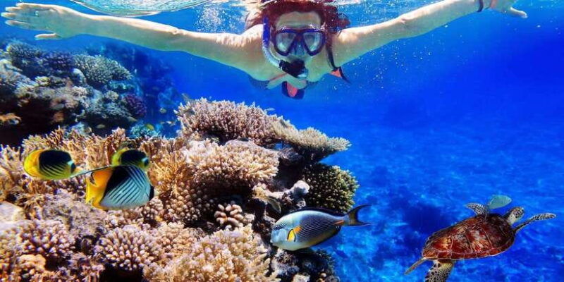 from-bali-nusa-penida-snorkeling-island-tour-special-trip