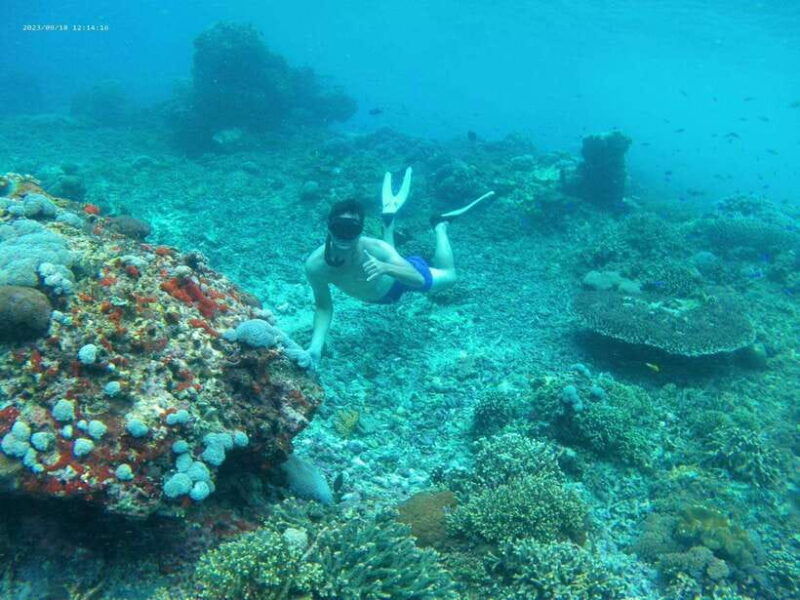 from-bali-nusa-penida-tour-with-private-snorkeling-lunch