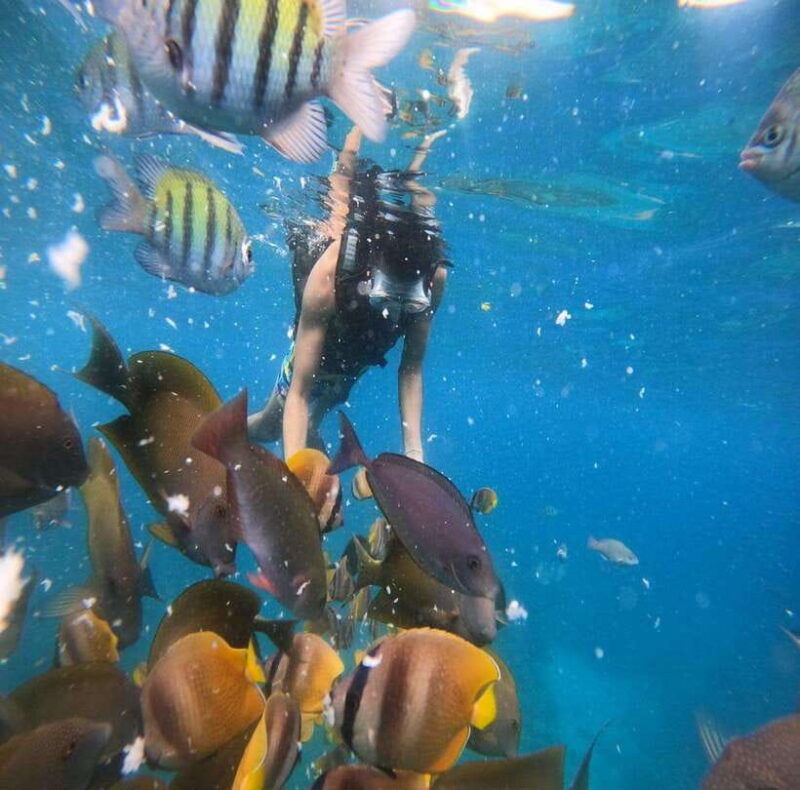 from-bali-nusa-penida-tour-with-private-snorkeling-lunch