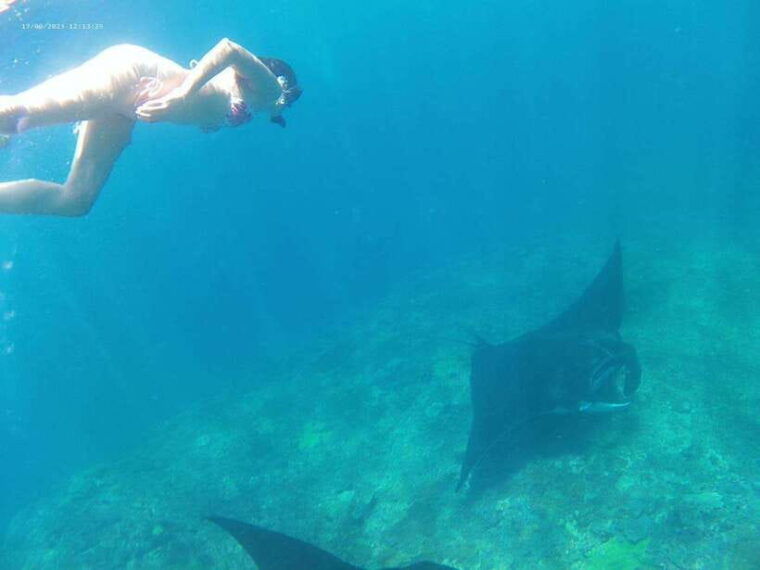 from-bali-nusa-penida-tour-with-private-snorkeling-lunch