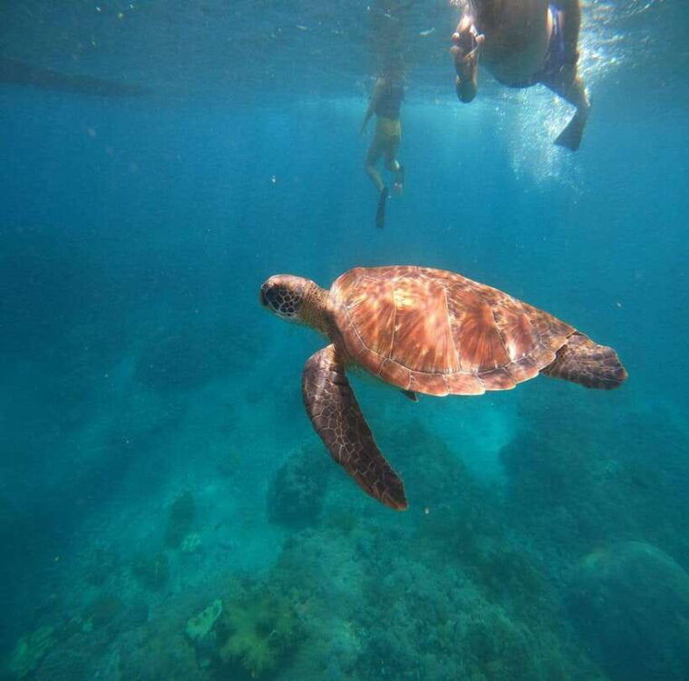 from-bali-nusa-penida-tour-with-private-snorkeling-lunch