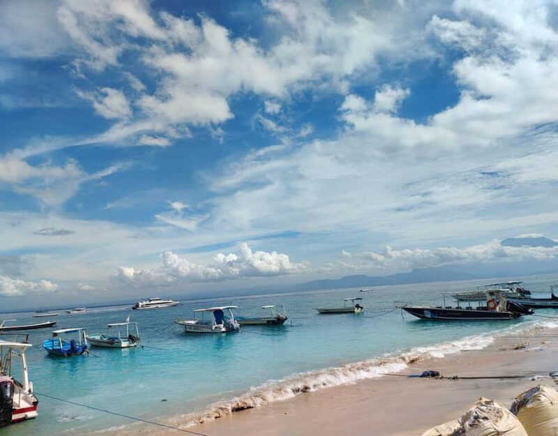 From Bali: Nusa Penida VIP Speedboat & Beach Club Day Trip - First Stop: Kelingking Cliff and the T-Rex View