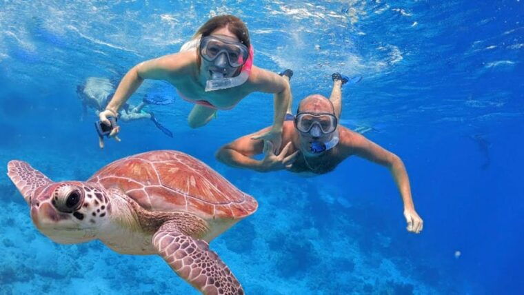 from-bali-nusa-penida-west-coast-private-tour-with-lunch