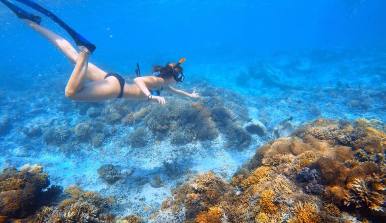 from-bali-nusa-penida-west-coast-private-tour-with-lunch