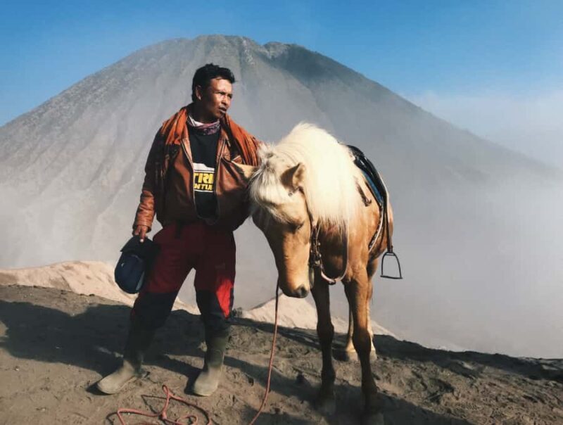 From Bali or Java: Bromo & Kawah Ijen  3-Day Adventure - Transportation & Group Dynamics