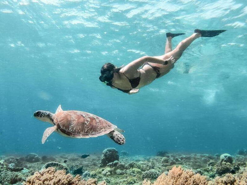 from-bali-private-gili-islands-snorkeling-all-inclusive