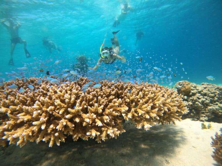 from-bali-private-gili-islands-snorkeling-all-inclusive