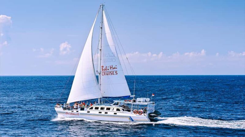 FROM BALI: SAIL, SNORKEL & MANGROVE TOURS TO NUSA LEMBONGAN - Overview of the Experience