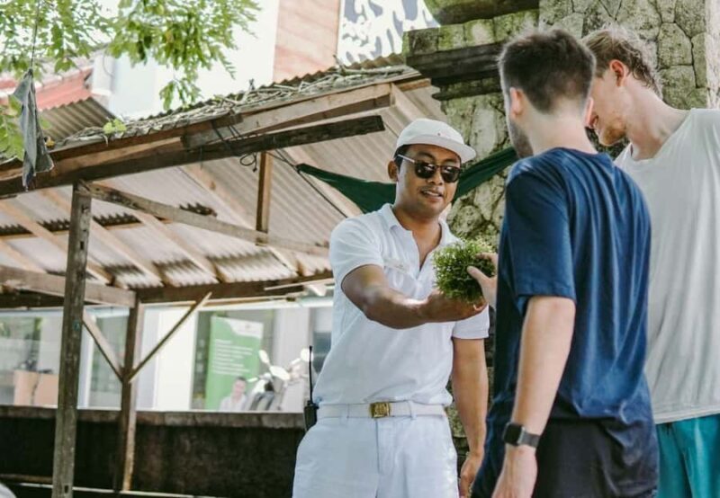 FROM BALI: SAIL, SNORKEL & MANGROVE TOURS TO NUSA LEMBONGAN - Lunch & Beach Club Relaxation