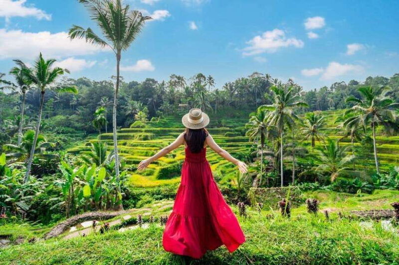from-bali-saraswati-temple-monkey-forest-ubud-waterfalls