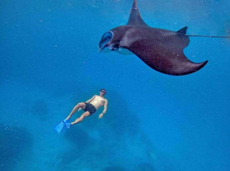 from-bali-snorkeling-3-spots-with-gopro-west-penida-tour