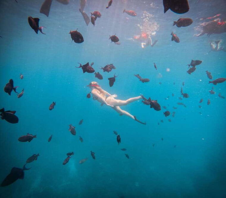 from-bali-snorkeling-3-spots-with-gopro-west-penida-tour