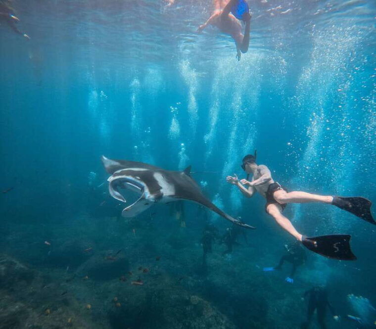 from-bali-snorkeling-3-spots-with-gopro-west-penida-tour