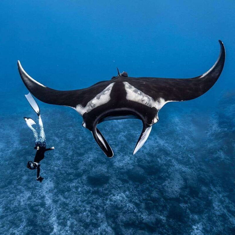 from-bali-snorkeling-at-manta-point-nusa-penida-land-tour