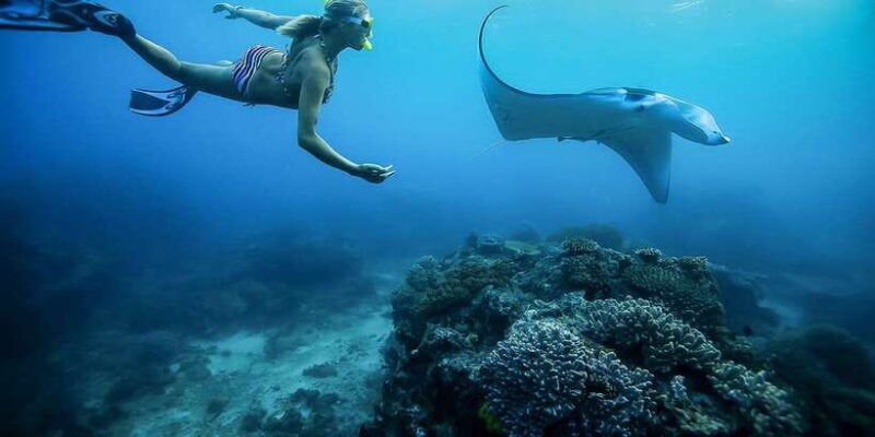 from-bali-swim-with-manta-rays-in-nusa-penida