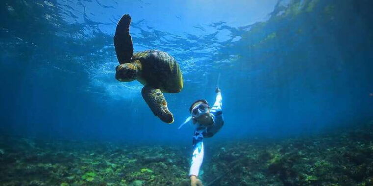 from-bali-swim-with-manta-rays-in-nusa-penida