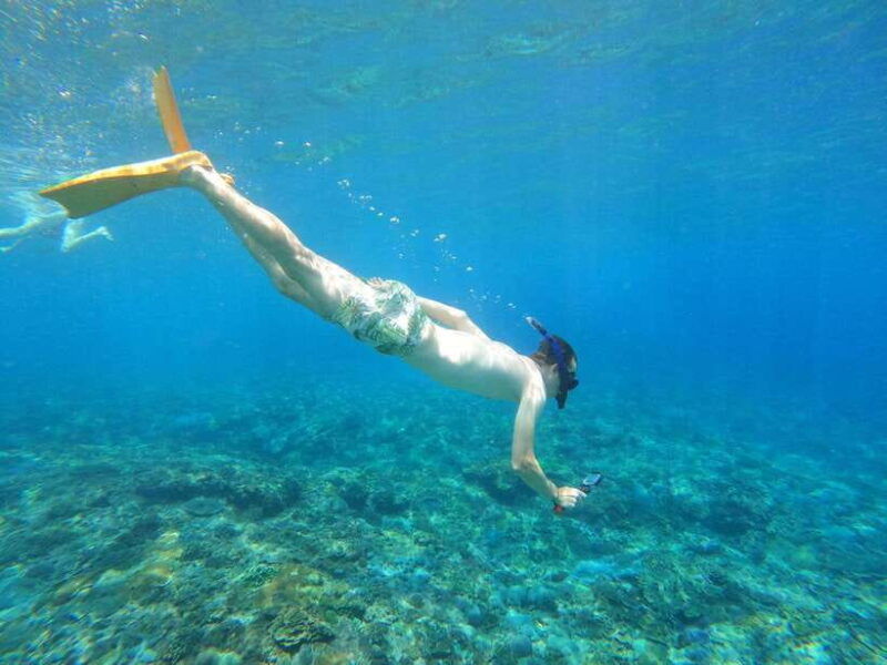 from-bali-swim-with-manta-t-rex-beach-all-inclusive-tour