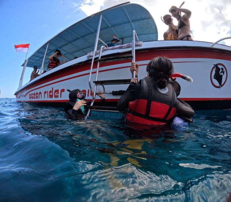 from-bali-swim-with-manta-t-rex-beach-all-inclusive-tour
