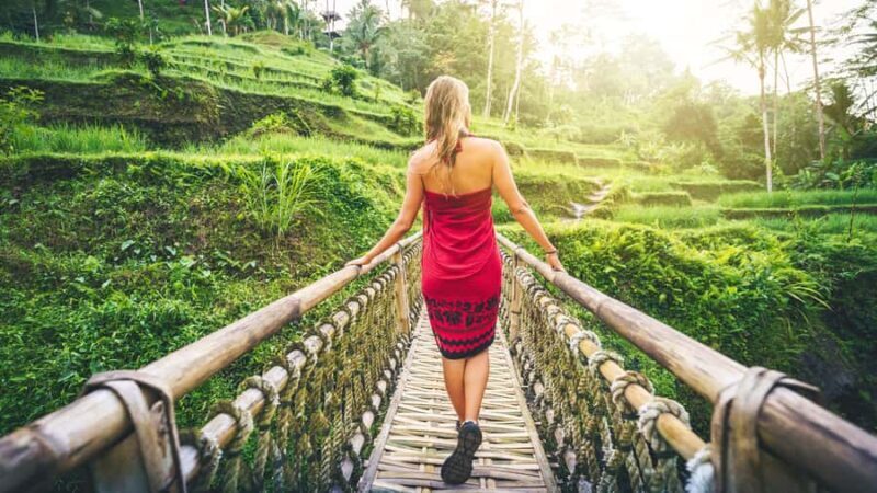From Bali: Ubud Day Trip - Waterfall, Rice Terraces & More - Key Points