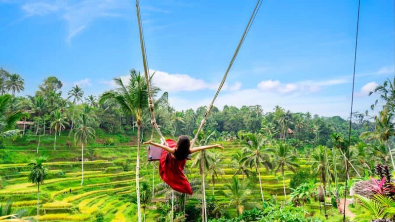 From Bali: Ubud Day Trip - Waterfall, Rice Terraces & More - The Sum Up
