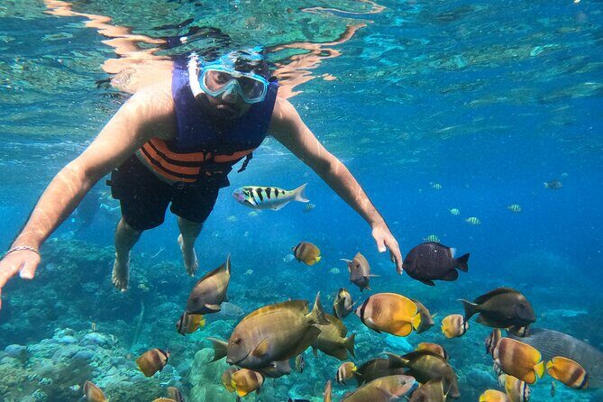From Bali West Nusa Penida Tour and Private Snorkeling - Exploring the West Nusa Penida Tour and Private Snorkeling Experience: A Genuine Review