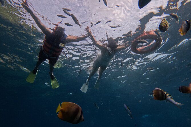 From Bali West Nusa Penida Tour and Private Snorkeling - Key Points