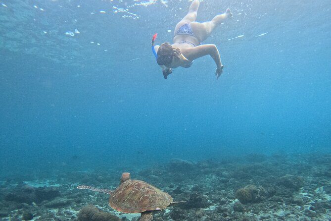 From Bali West Nusa Penida Tour and Private Snorkeling - Authentic Experiences and Why They Matter