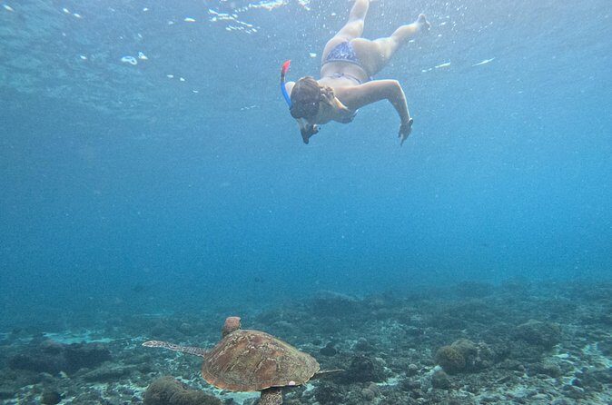 From Bali West Nusa Penida Tour and Private Snorkeling - Final Thoughts on Value and Experience