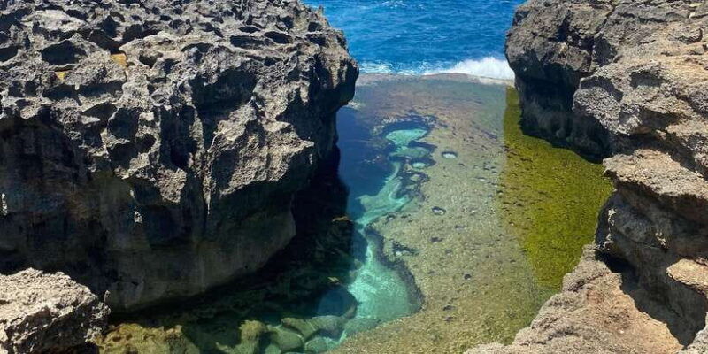 from-bali-west-penida-day-tour-with-lunch-and-tour-driver